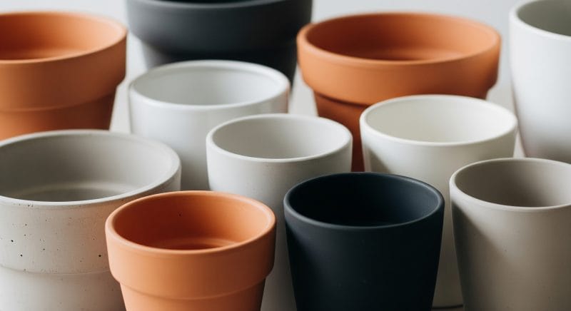 ダイソーで買える鉢はある?