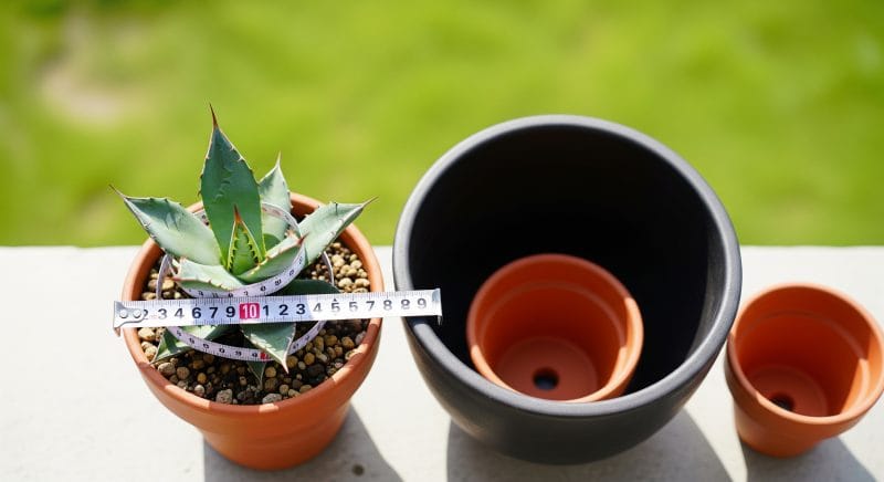 大きい?小さめ?サイズの選び方